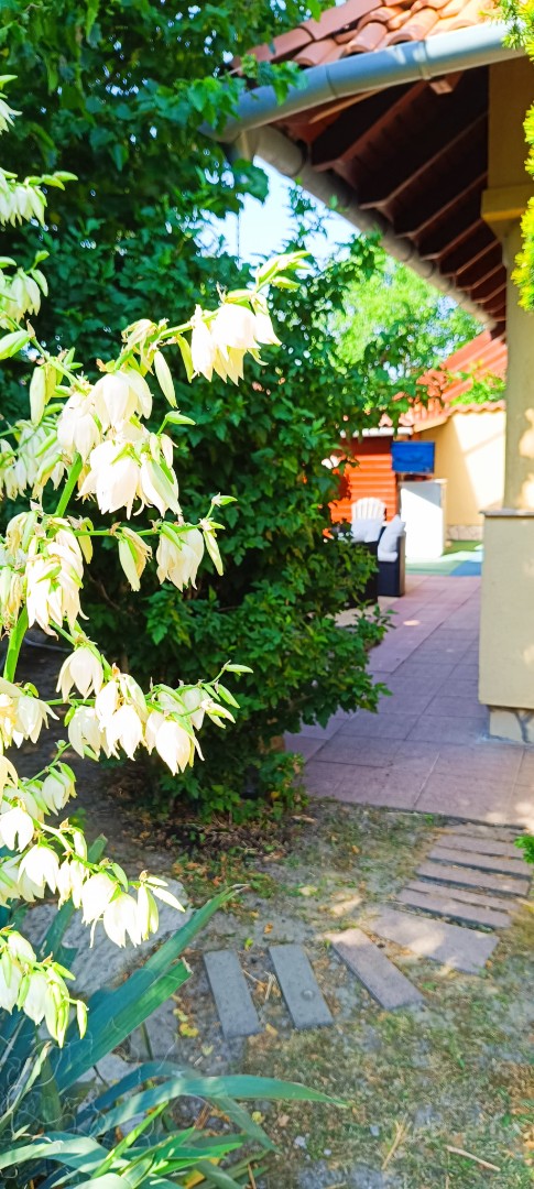 Eladó családi ház Gyulan - Kép 17