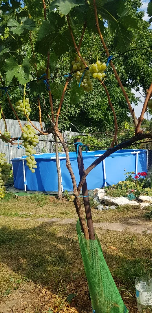 Eladó sorház Egerben - Kép 11