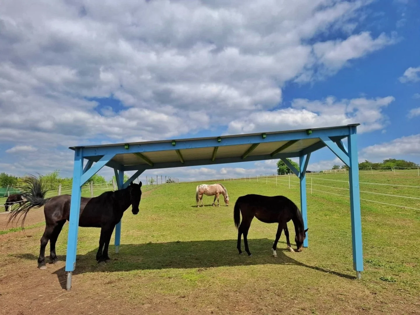 Eladó mezőgazdasági telek Fóton - Kép 4
