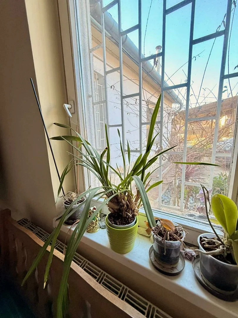 Eladó üzlet iroda / üzlet / kereskedelmi / szolgáltató Miskolcon - Kép 10