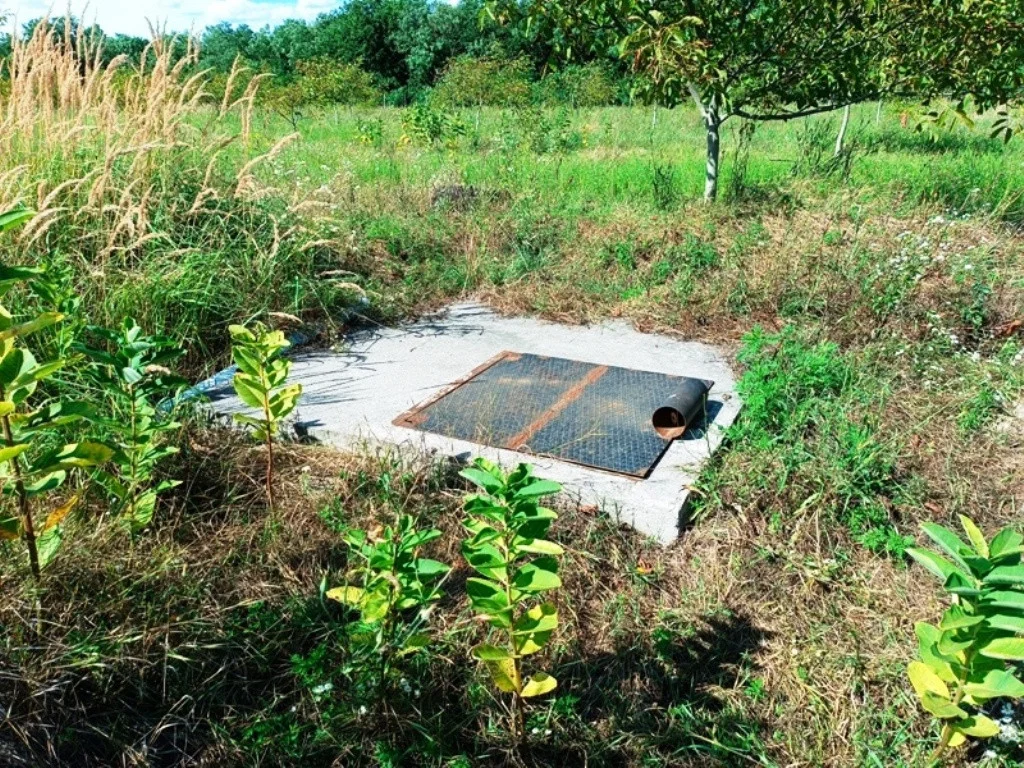 Eladó tanya mezőgazdaság Sződen - Kép 10