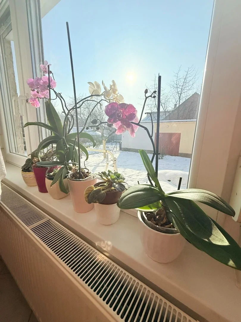 Eladó családi ház Kazincbarcikan - Kép 2