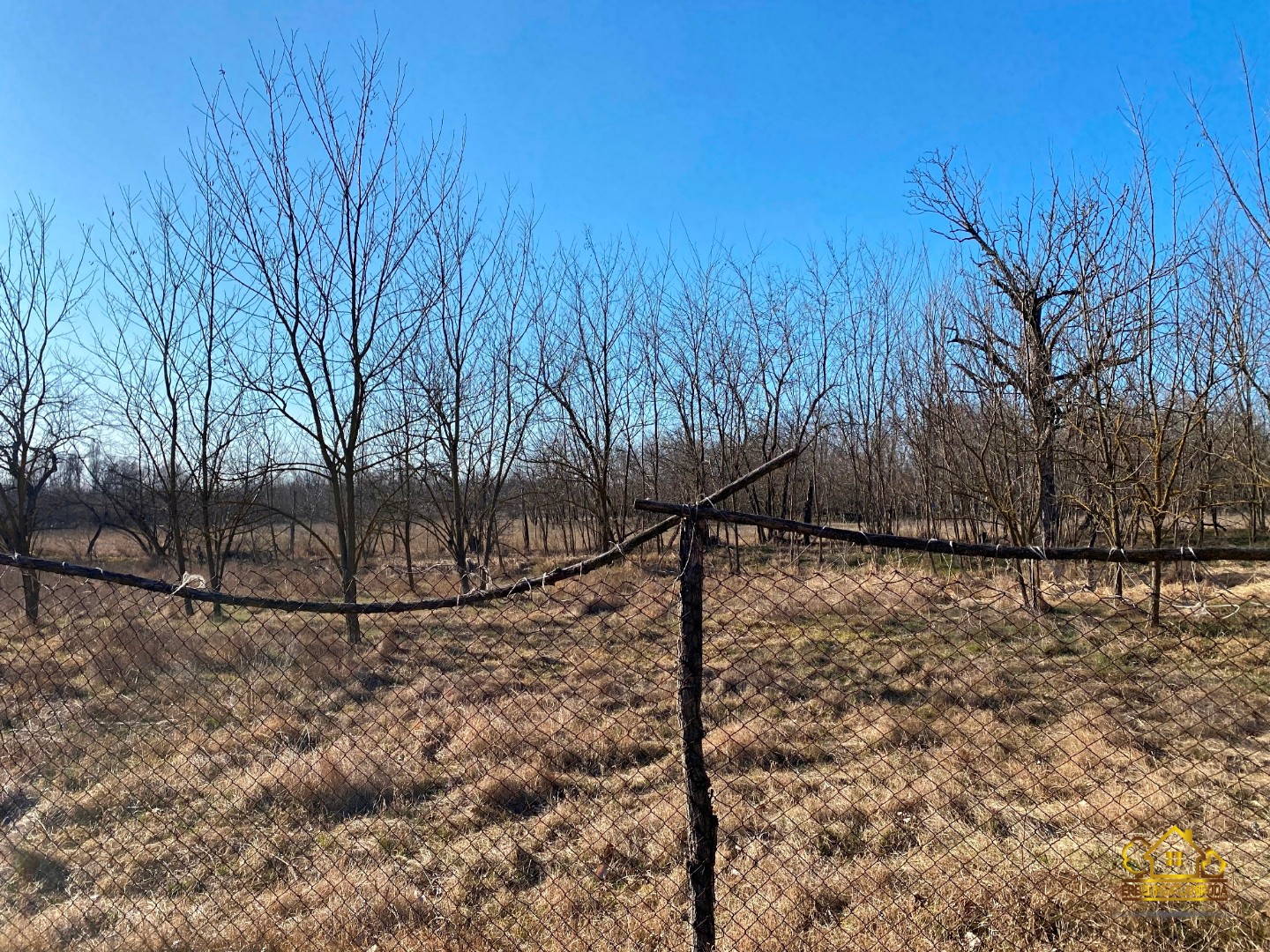 Eladó tanya mezőgazdaság Lajosmizsen - Kép 12