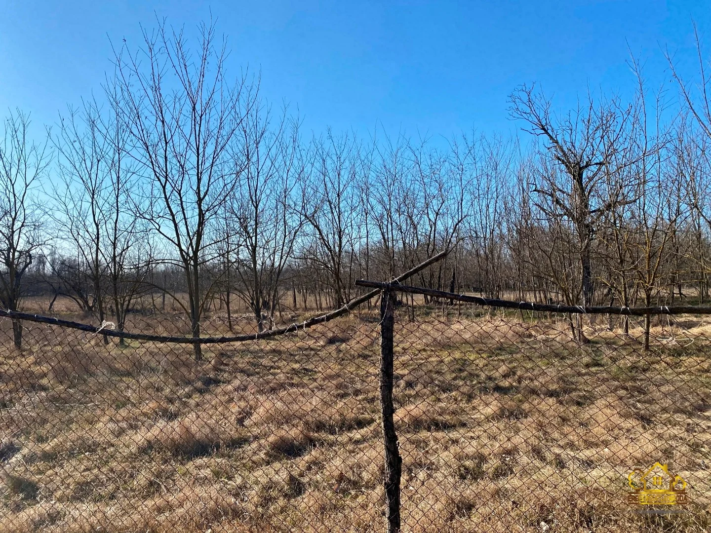 Eladó tanya mezőgazdaság Lajosmizsen - Kép 12