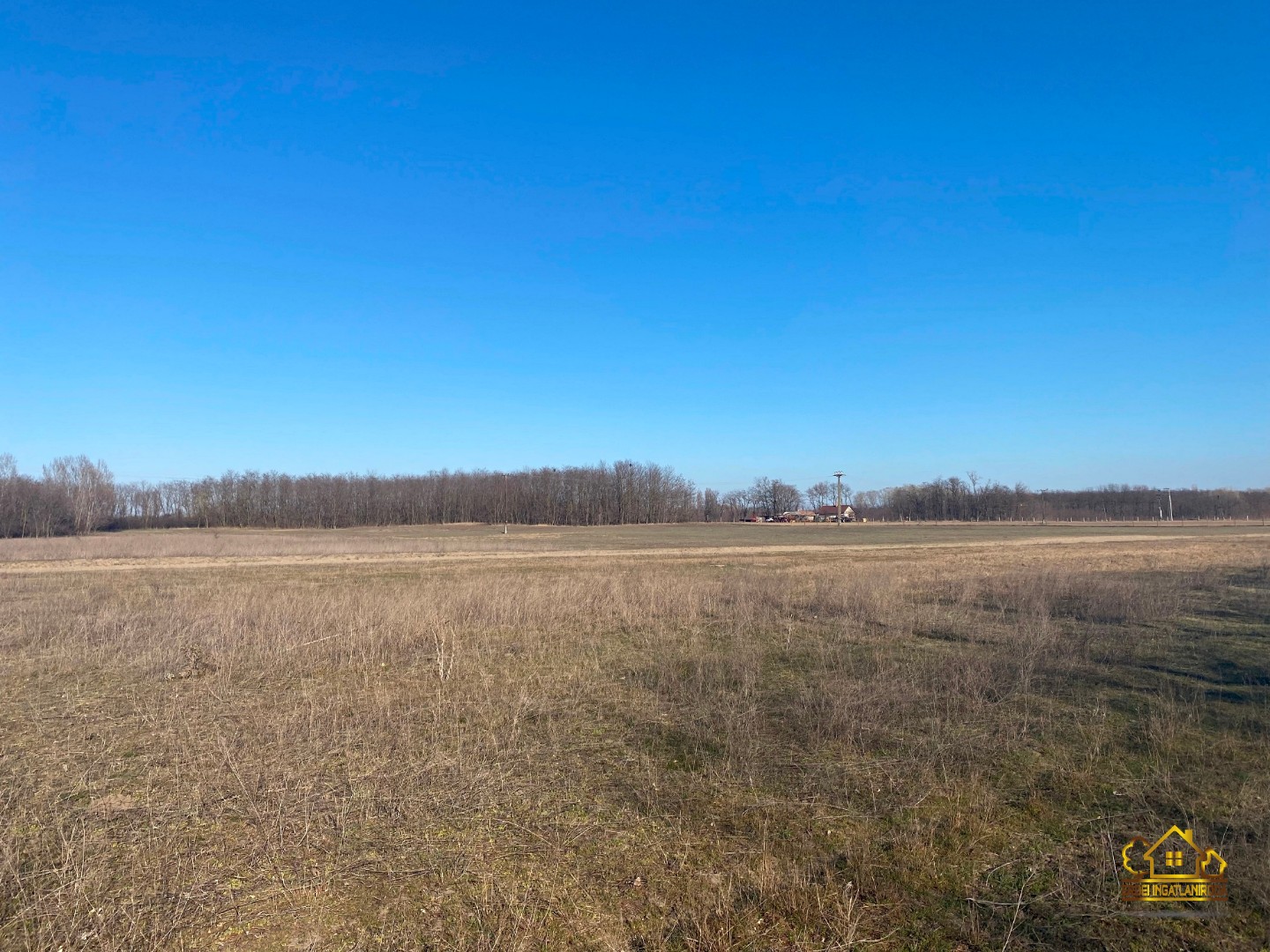 Eladó tanya mezőgazdaság Lajosmizsen - Kép 16