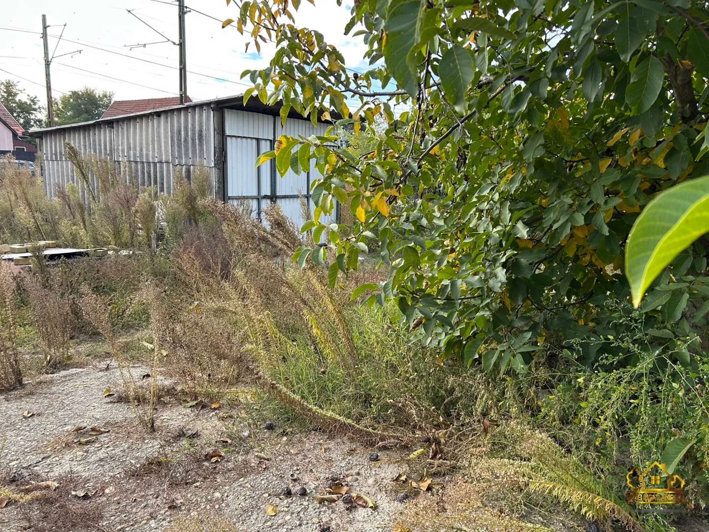 Eladó tanya mezőgazdaság Szigethalomon - Kép 14