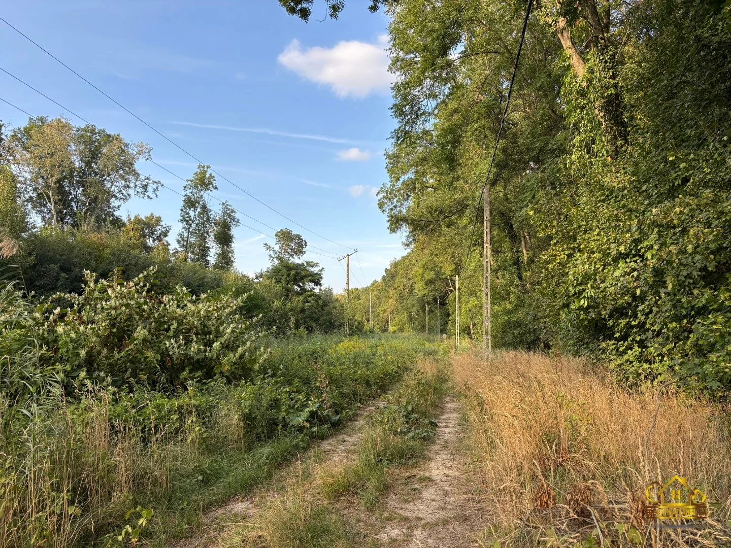 Eladó építési telek Kiskunlacházan