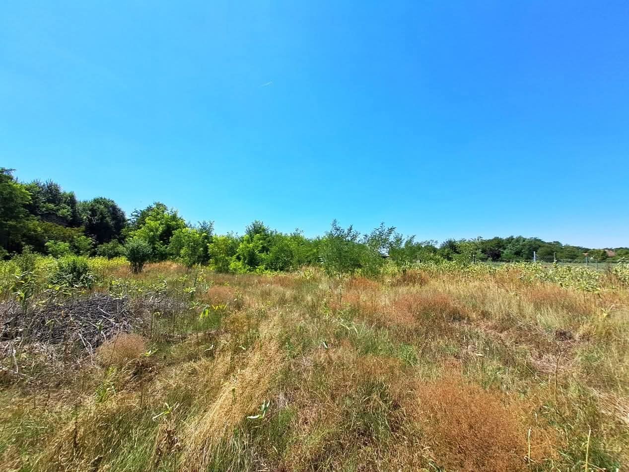 Eladó építési telek Tápiószőlősen - Kép 5