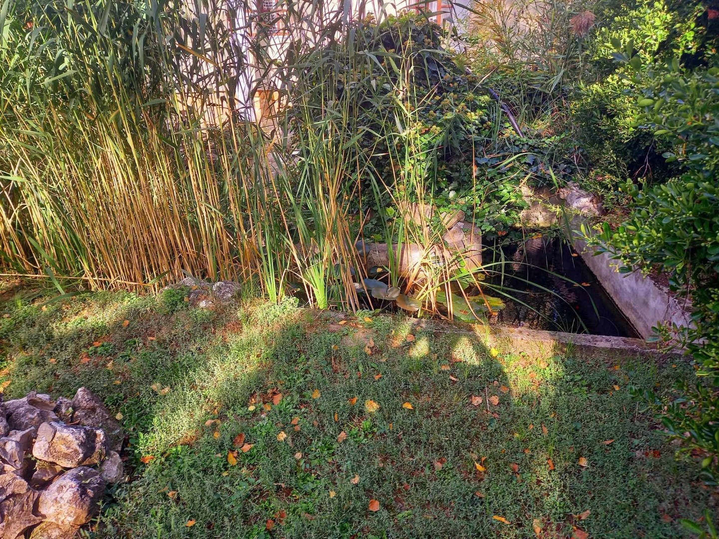 Eladó családi ház Telkin - Kép 4