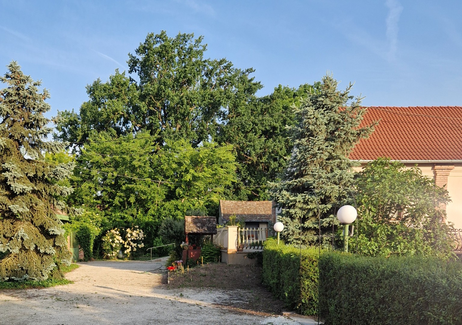 Eladó hotel, szálloda iroda / üzlet / kereskedelmi / szolgáltató Derekegyházon - Kép 8