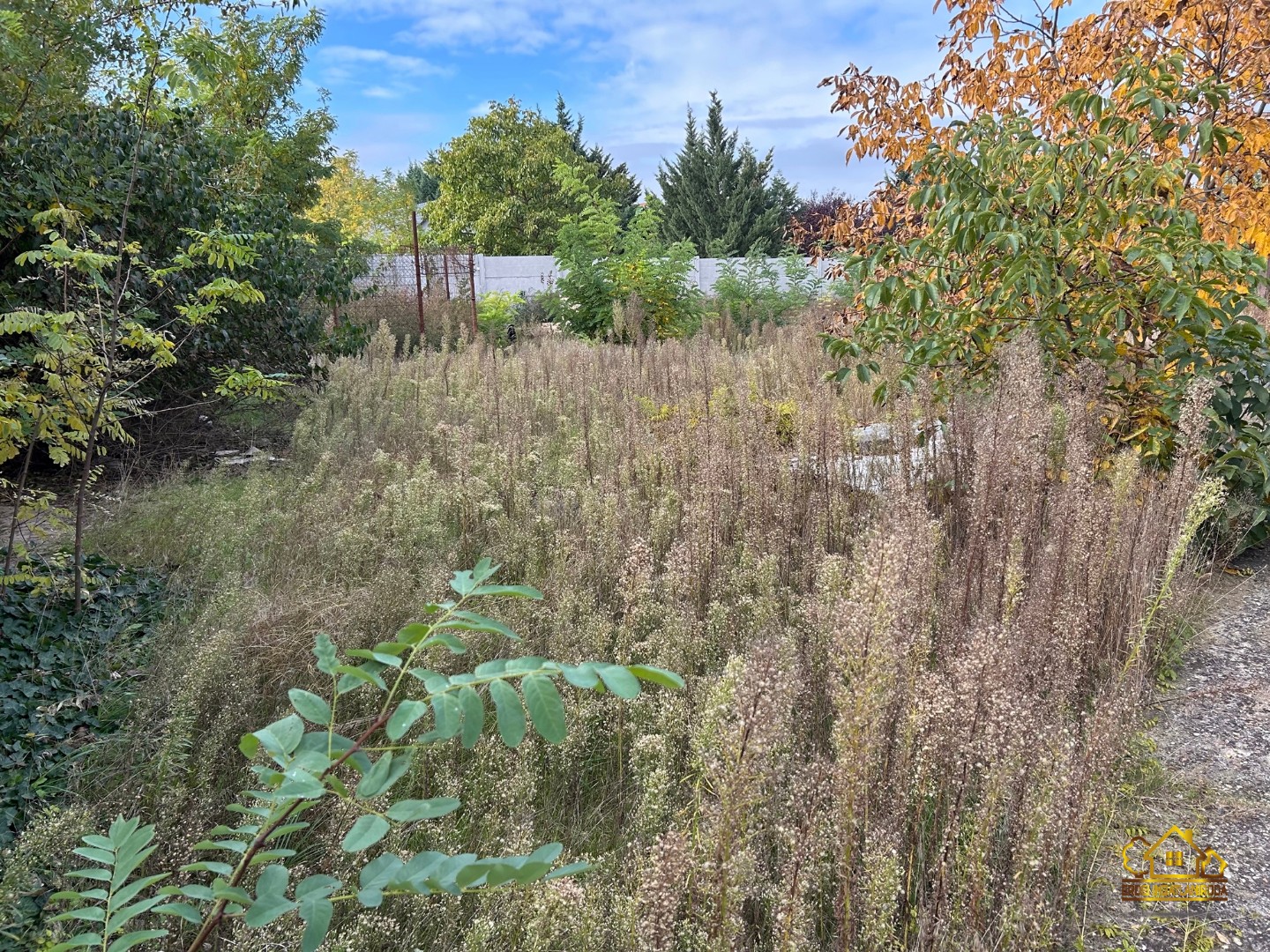 Eladó tanya mezőgazdaság Szigethalomon - Kép 18