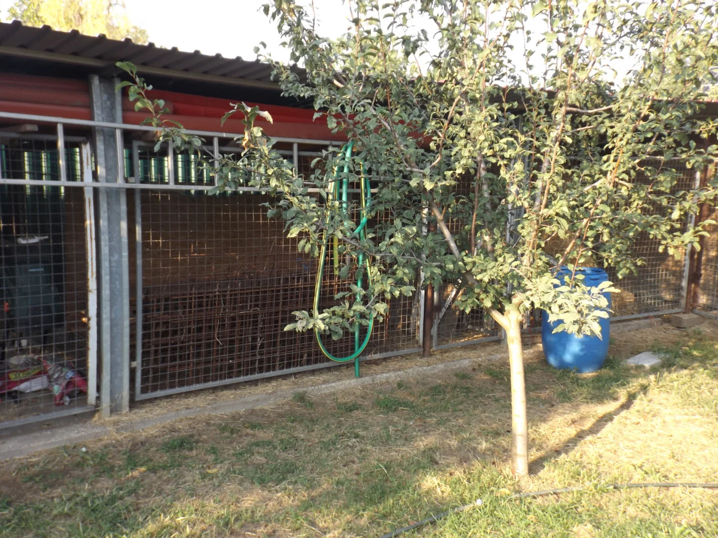 Eladó családi ház Sándorfalvan - Kép 14