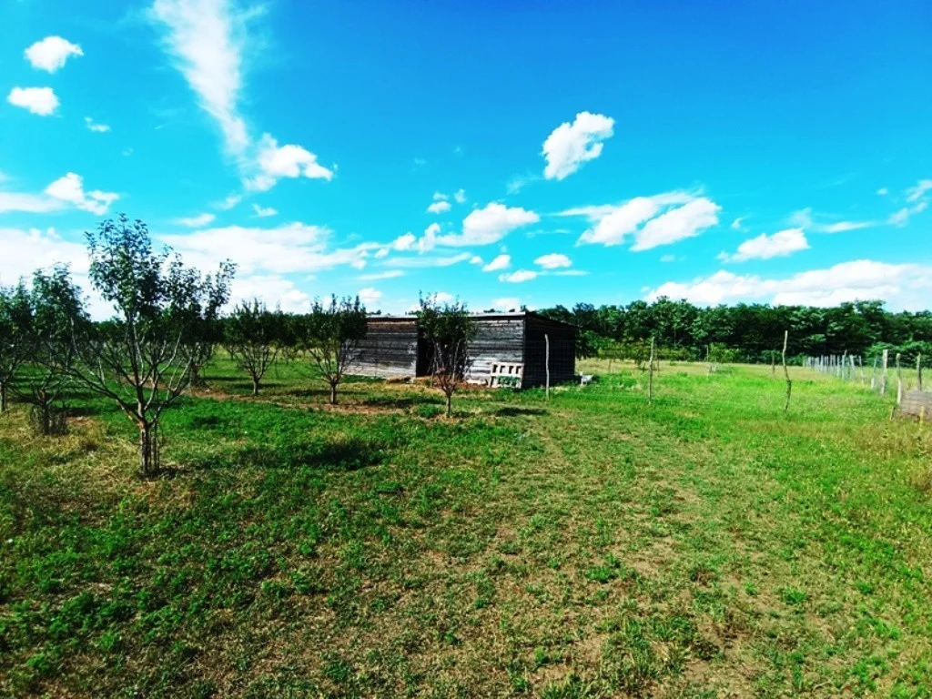 Eladó tanya mezőgazdaság Sződen - Kép 2