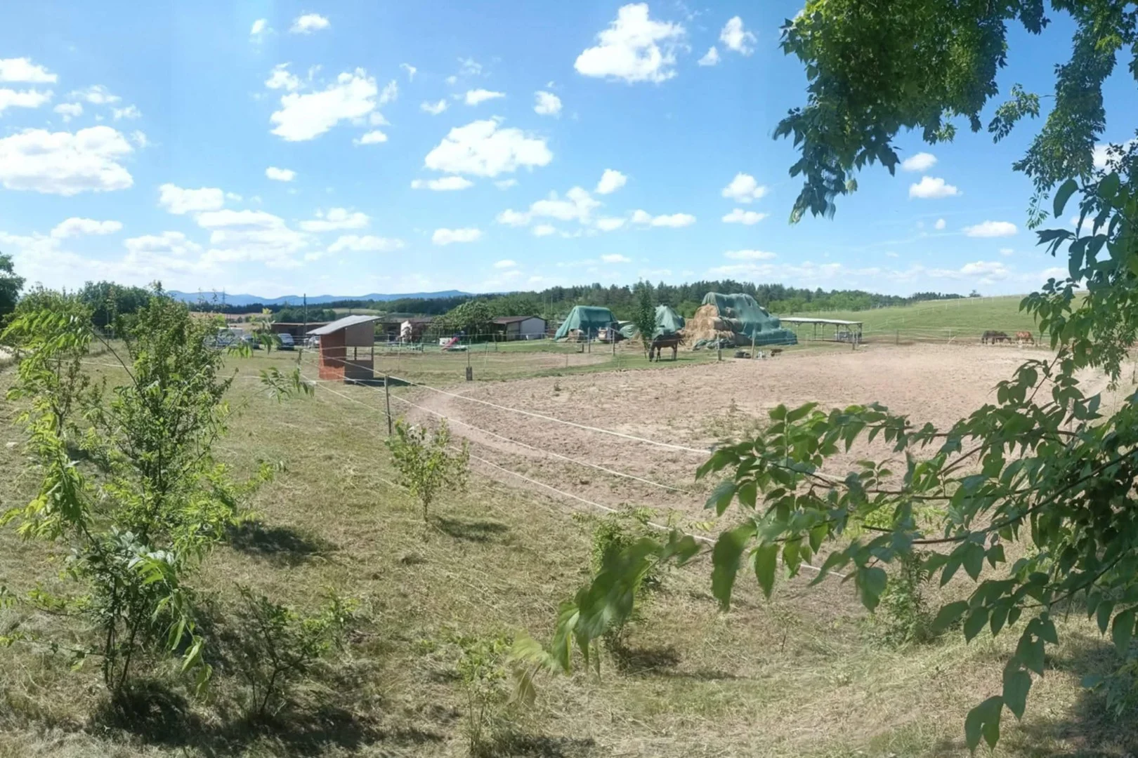 Eladó mezőgazdasági telek Fóton - Kép 10