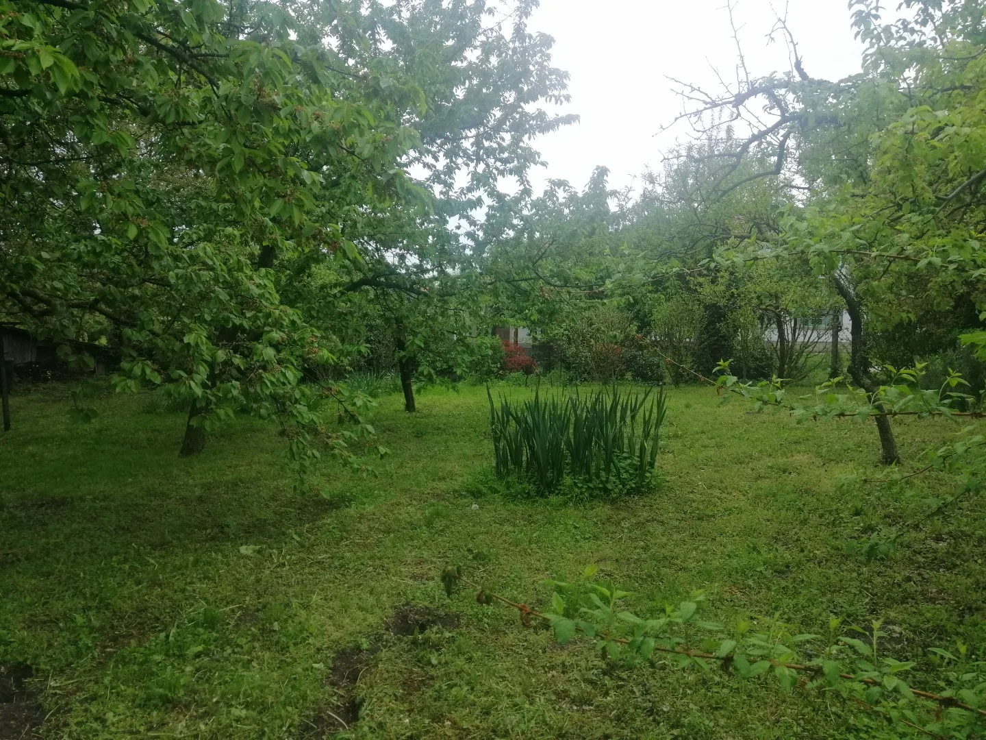 Eladó családi ház Balatonfőkajáron - Kép 6