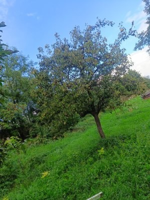 Eladó építési telek Dudaron