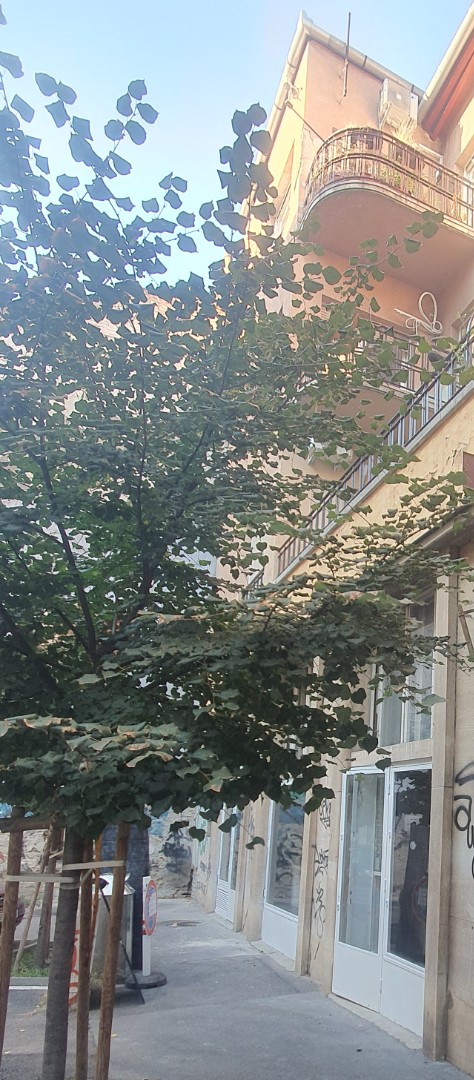 Eladó iroda iroda / üzlet / kereskedelmi / szolgáltató Budapest 07. ker.en - Kép 8