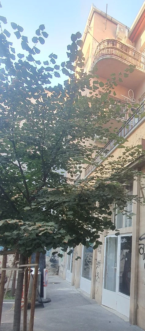 Eladó iroda iroda / üzlet / kereskedelmi / szolgáltató Budapest 07. ker.en - Kép 8