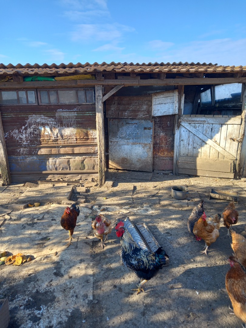 Eladó tanya mezőgazdaság Hajdúszoboszlón - Kép 2