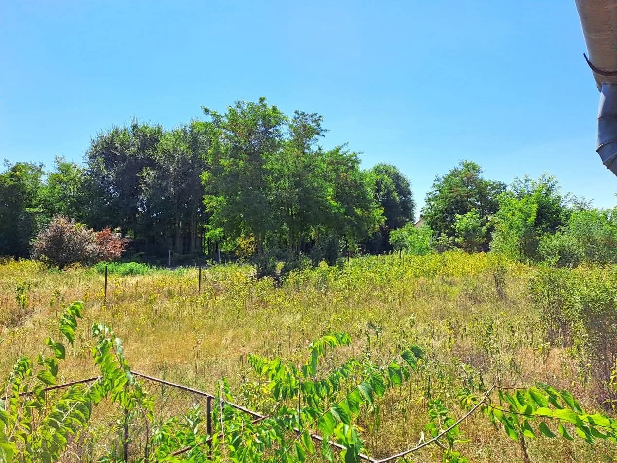 Eladó építési telek Tápiószőlősen - Kép 4