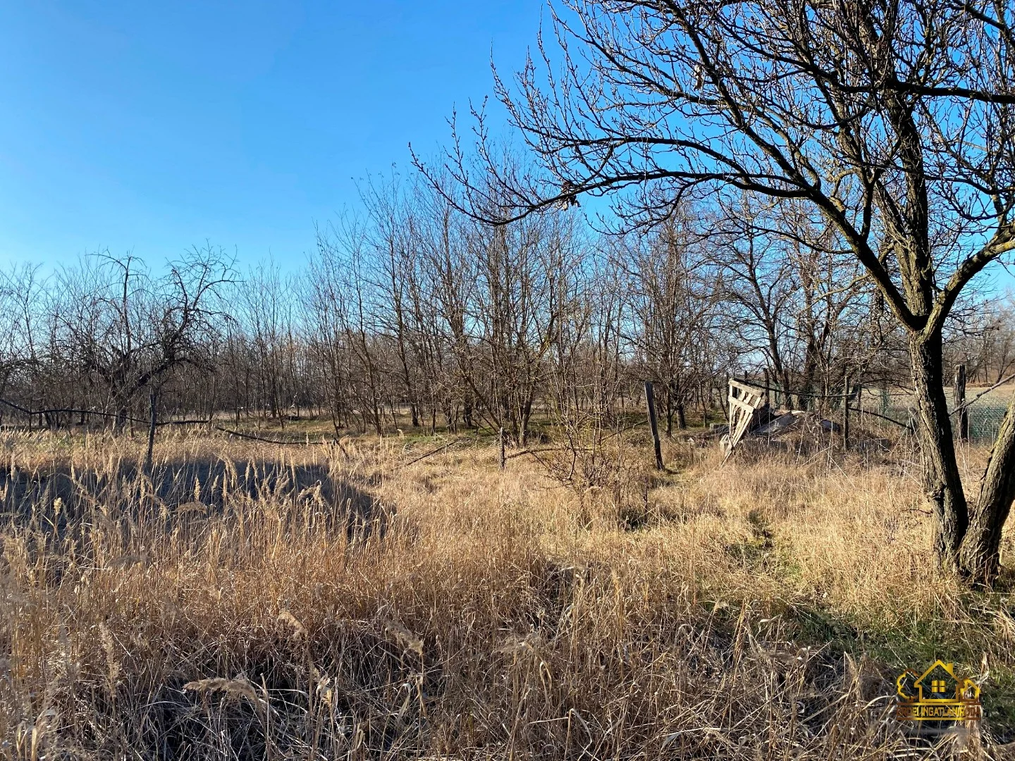 Eladó tanya mezőgazdaság Lajosmizsen - Kép 13
