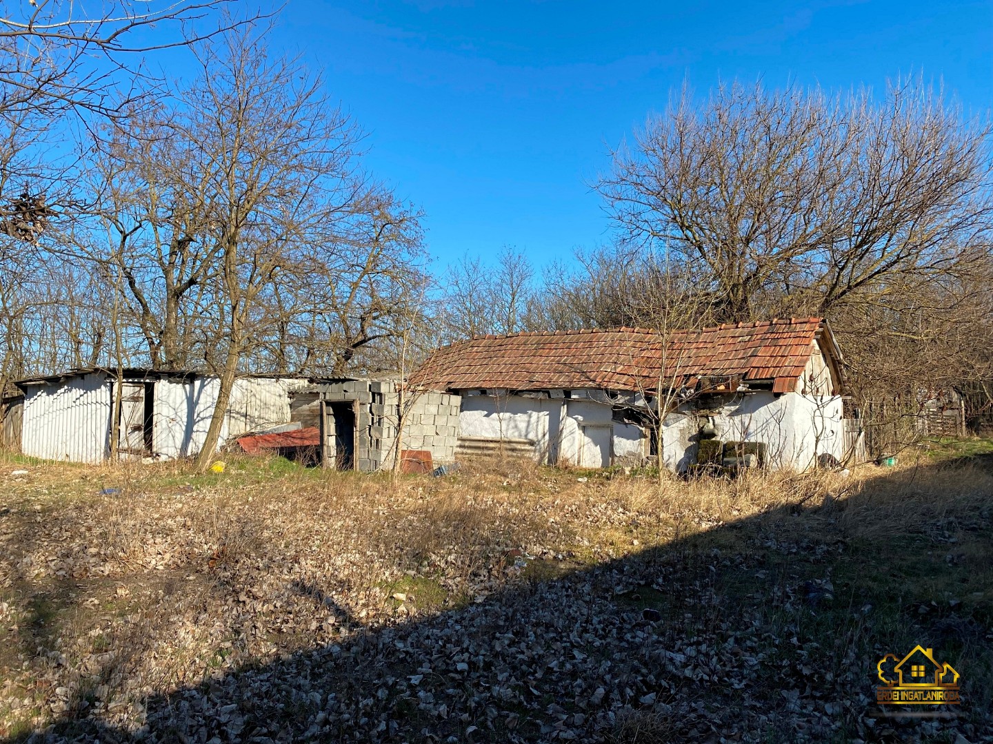 Eladó tanya mezőgazdaság Lajosmizsen - Kép 9