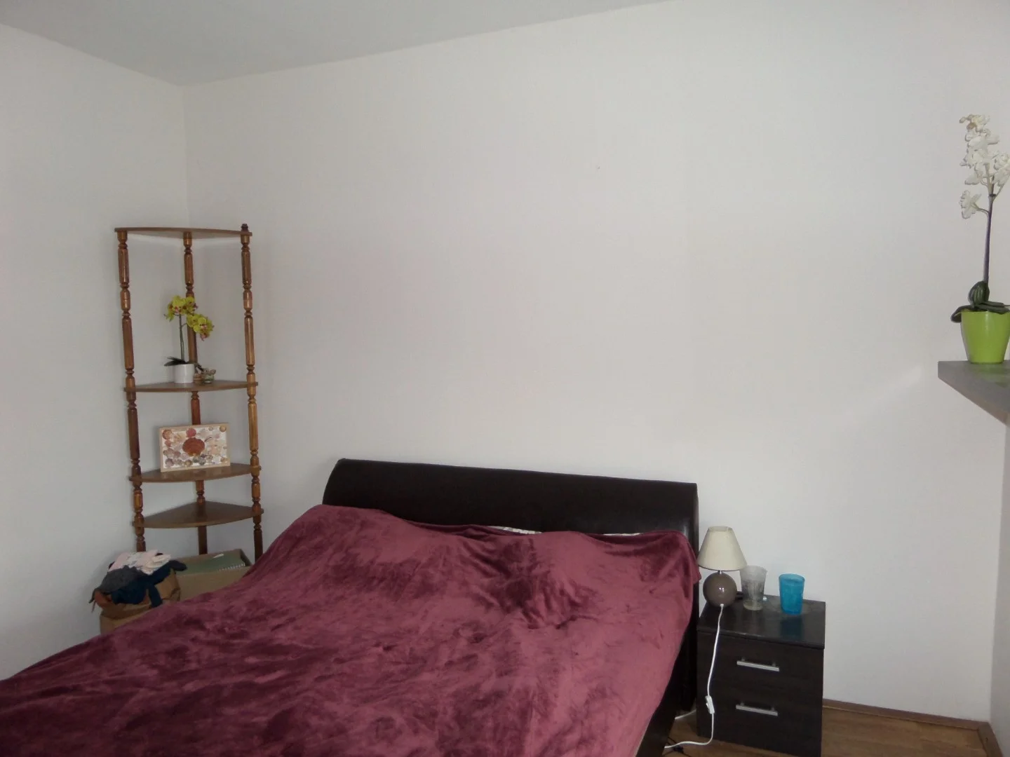 Eladó panel lakás Pécsen - Kép 5