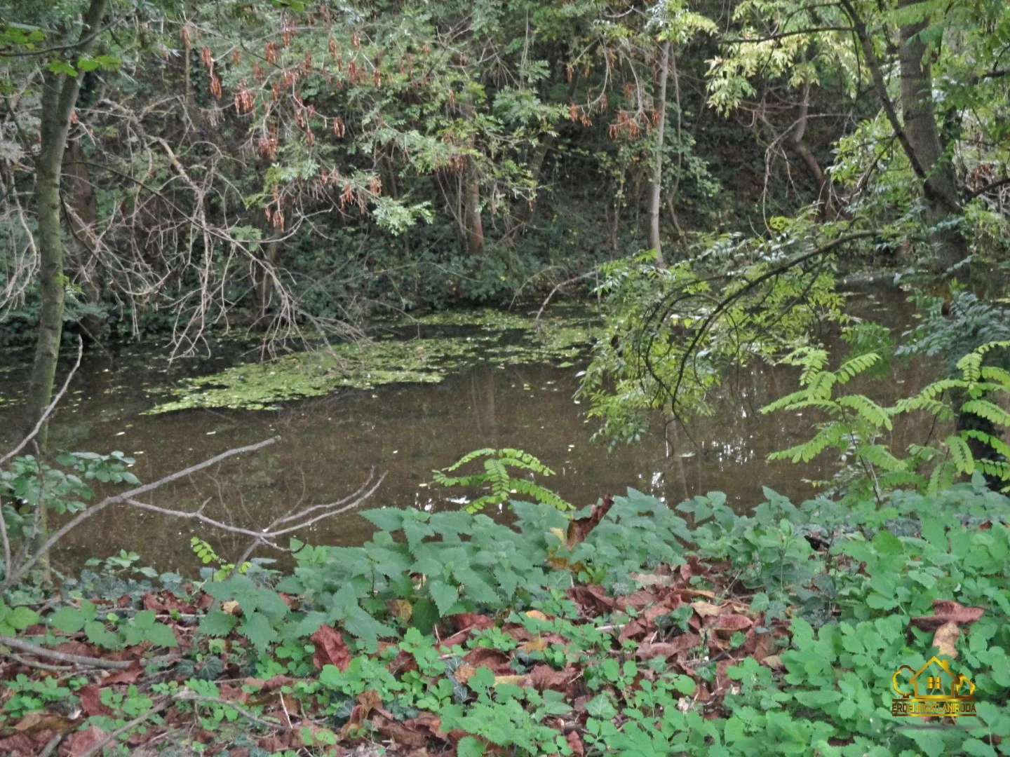 Eladó családi ház Dunavarsányon - Kép 8