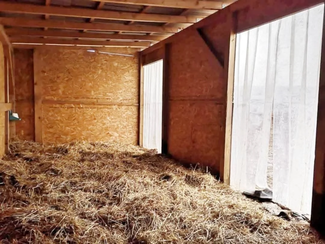 Eladó mezőgazdasági telek Fóton - Kép 5