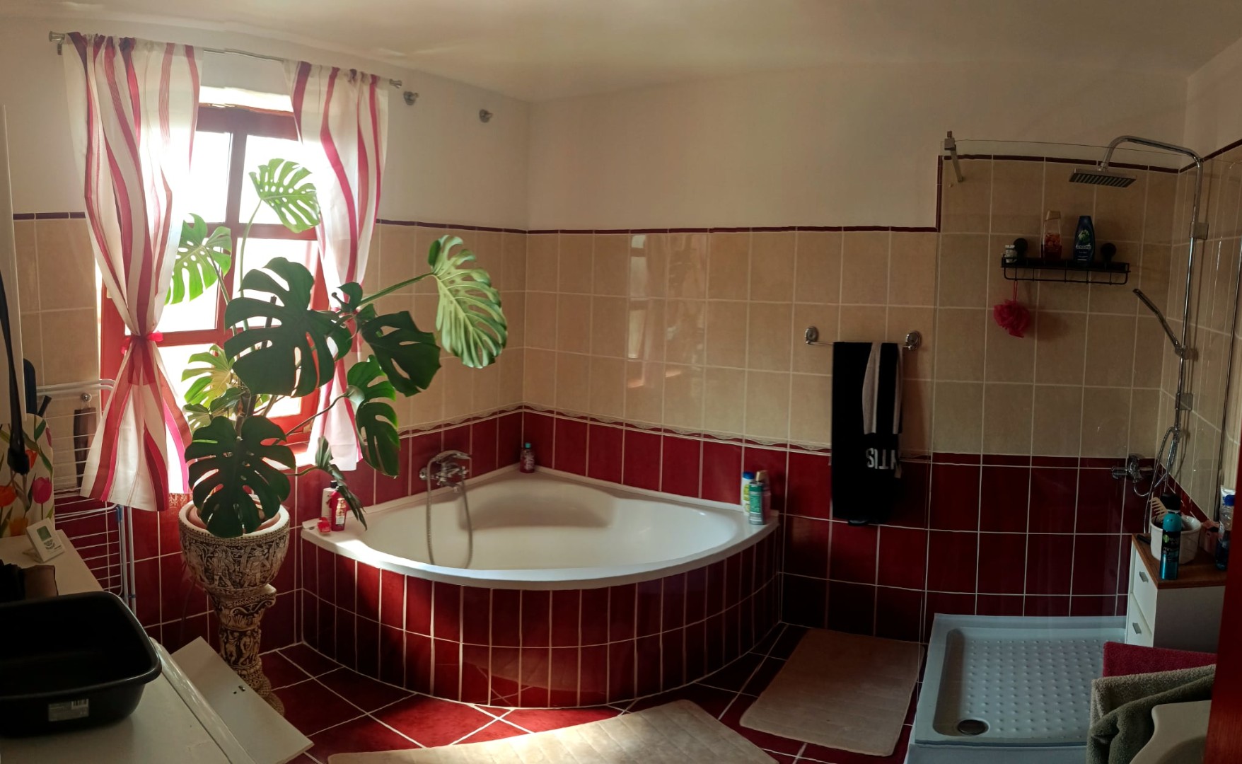 Eladó családi ház Gyulan - Kép 8