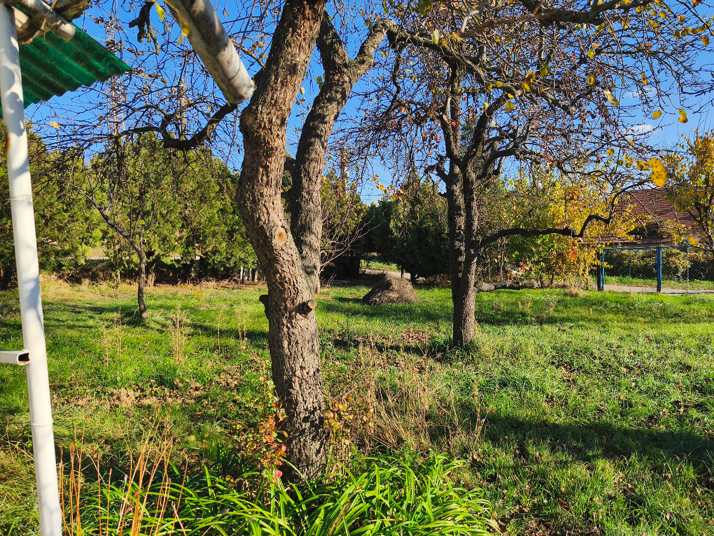 Eladó családi ház Érden - Kép 4