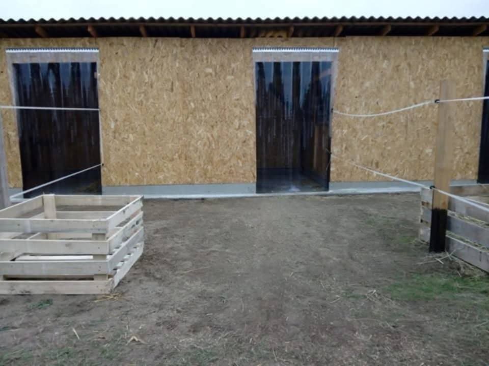 Eladó mezőgazdasági telek Fóton - Kép 9