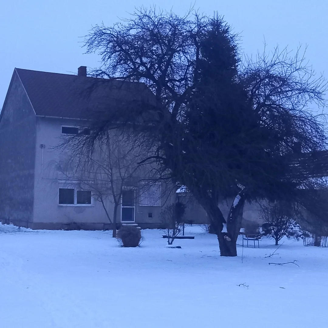 Eladó családi ház Kemenespálfan - Kép 7