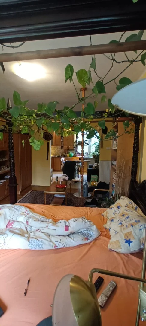 Kiadó tégla lakás Egerben - Kép 8