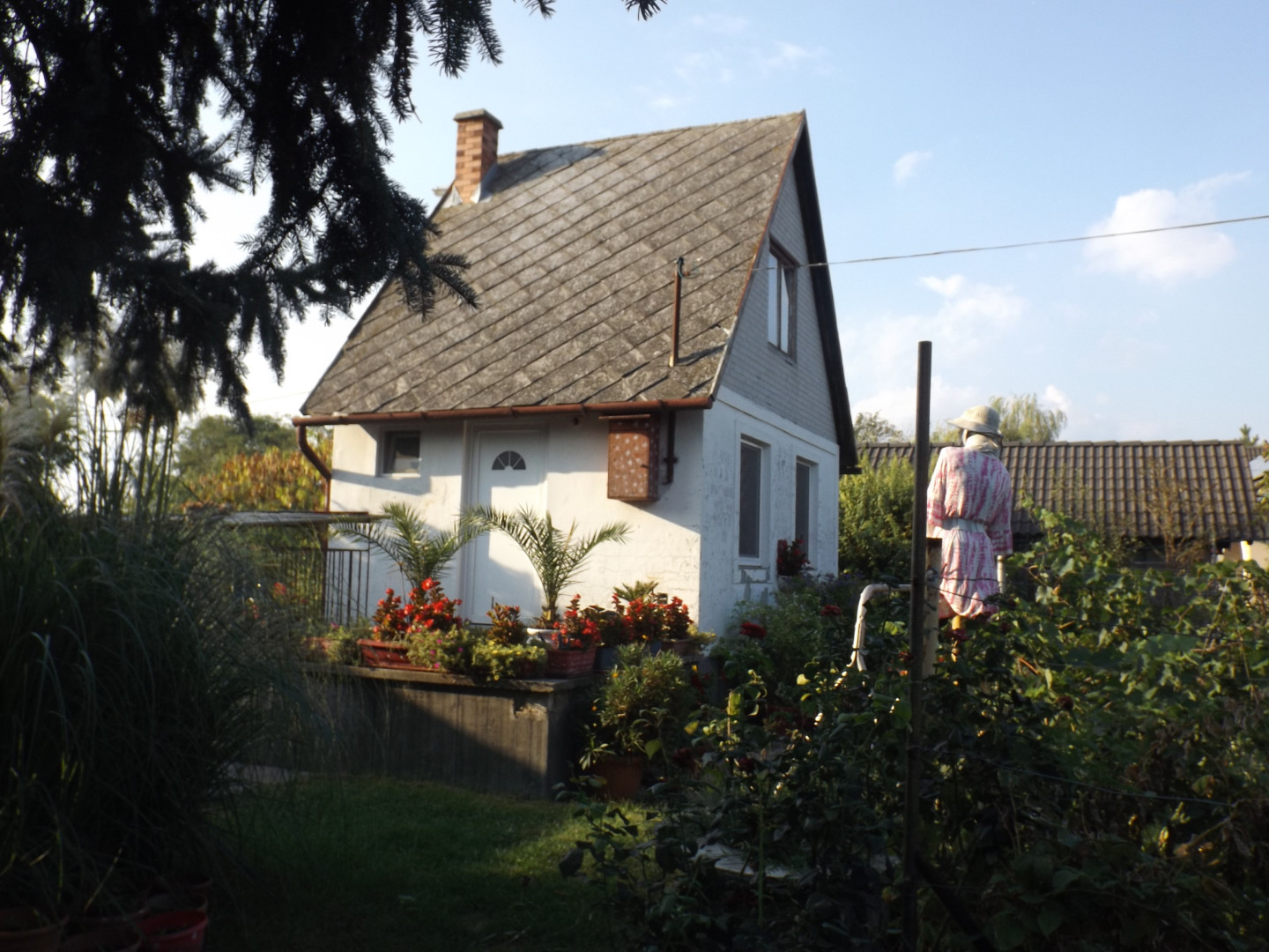 Eladó családi ház Sándorfalvan - Kép 11