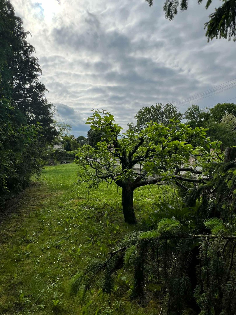 Eladó családi ház Csurgón - Kép 16