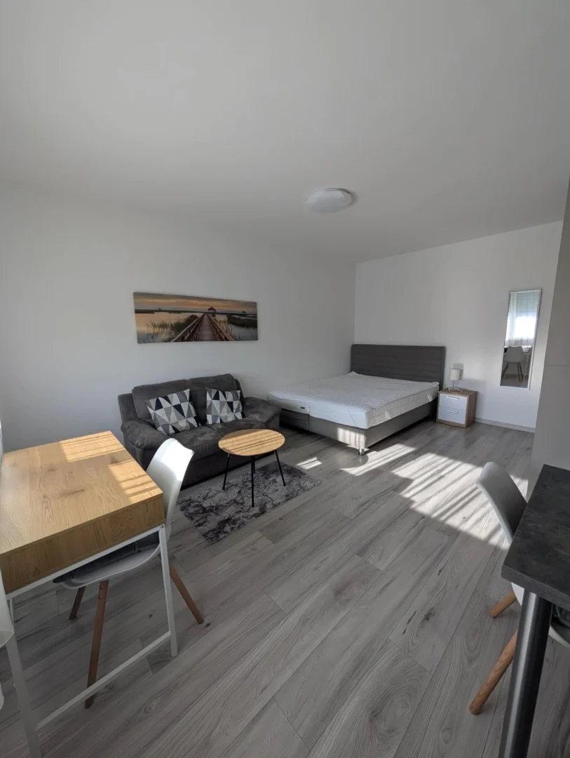 Kiadó tégla lakás Pécsen - Kép 3