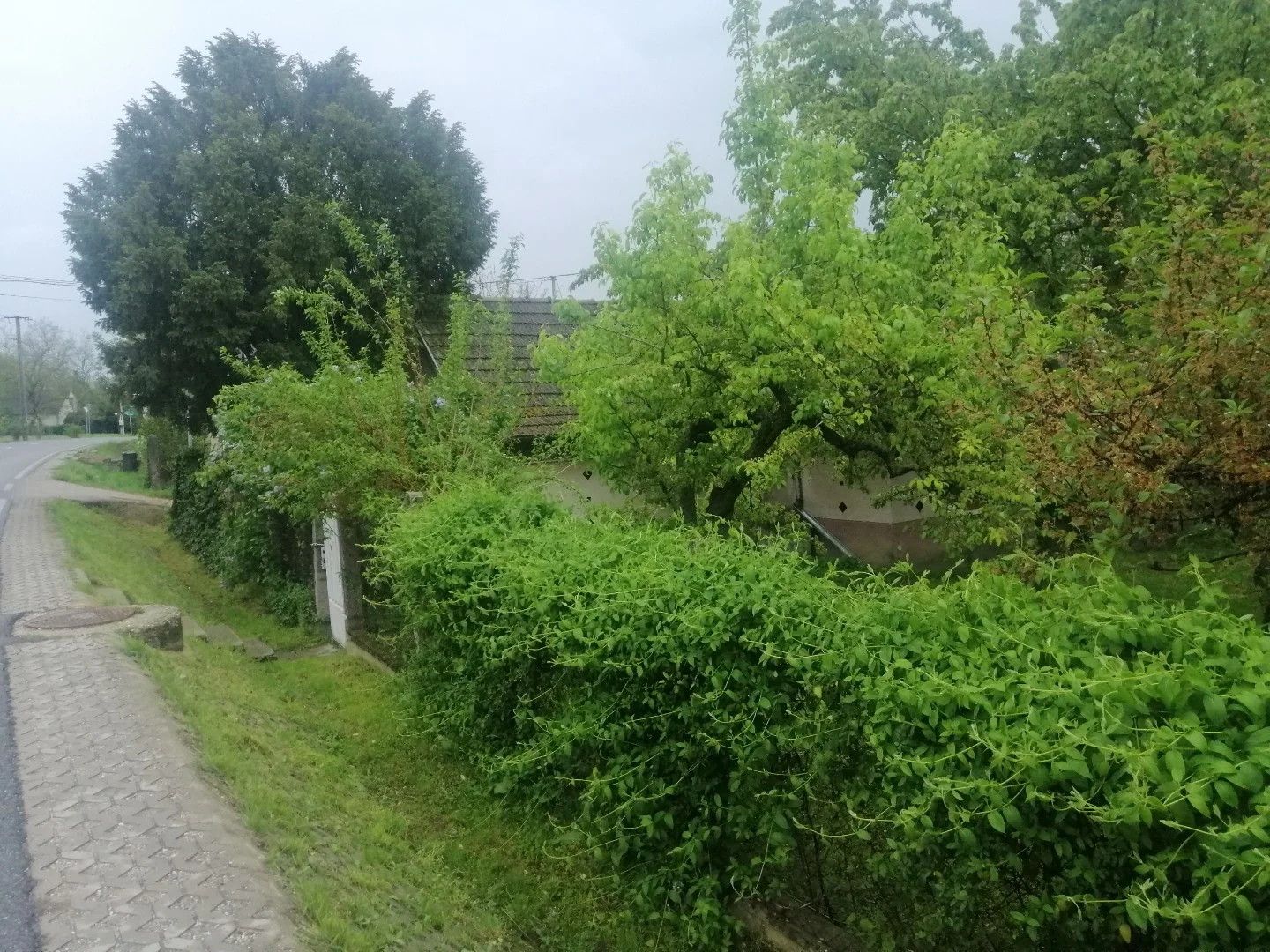 Eladó családi ház Balatonfőkajáron - Kép 4