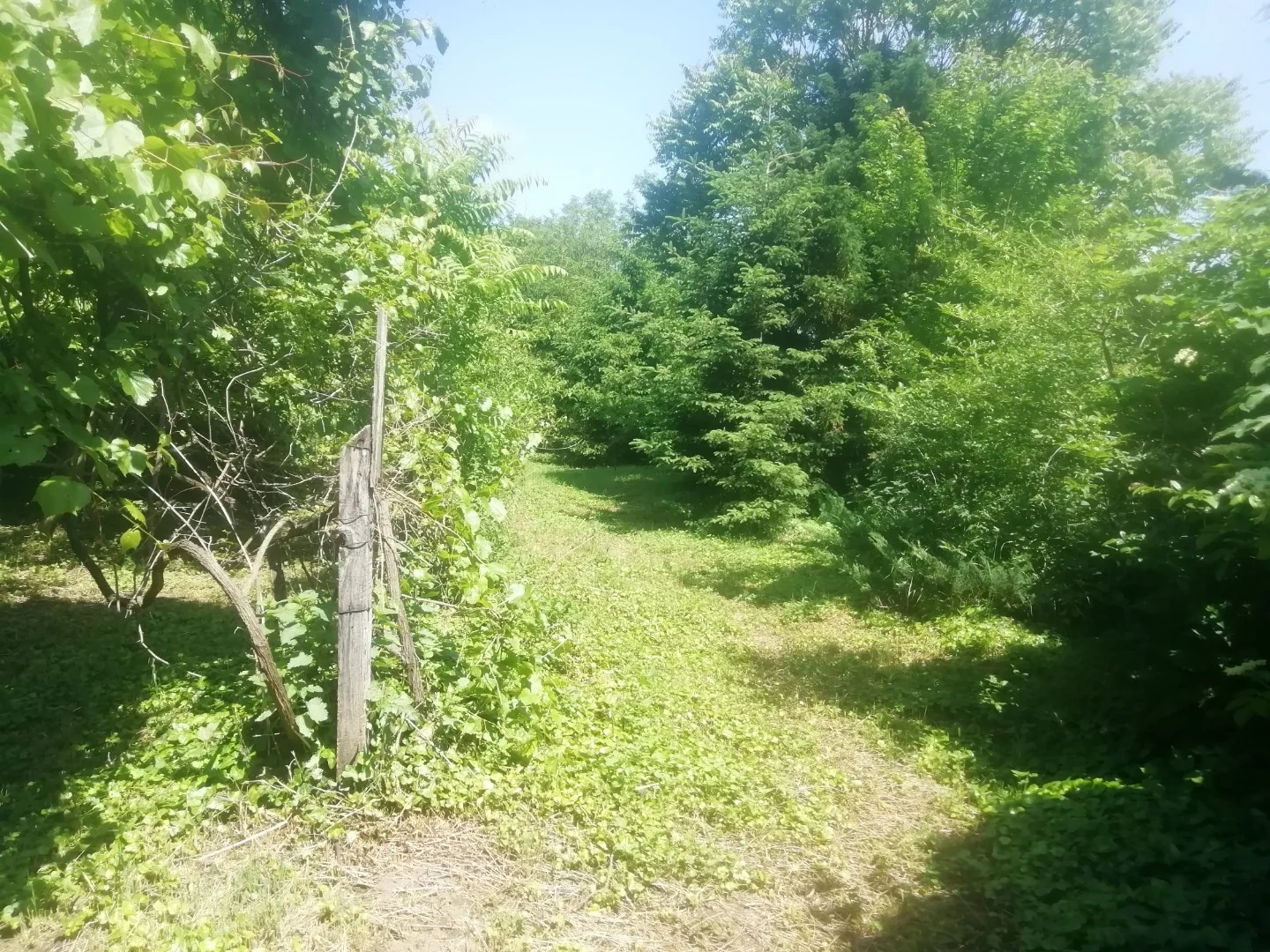 Eladó családi ház Kemenessömjénen - Kép 4