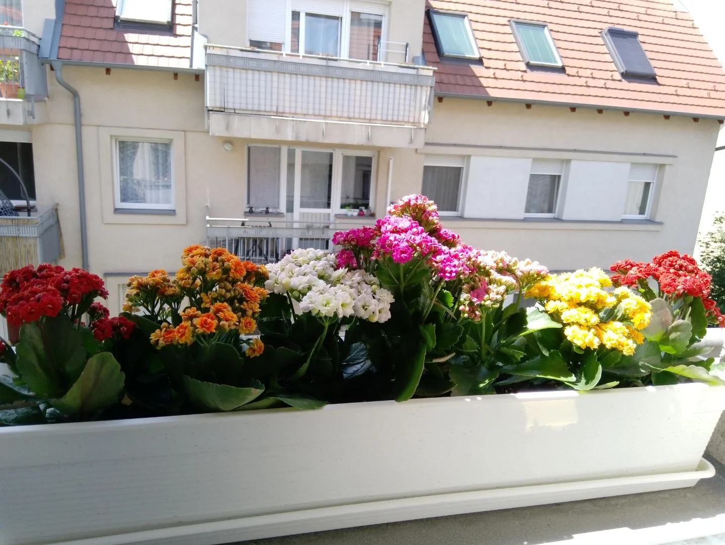 Eladó tégla lakás Budapest 14. ker.en - Kép 6