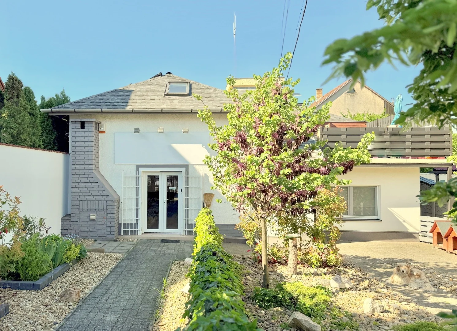 Eladó üzlet iroda / üzlet / kereskedelmi / szolgáltató Budapest 18. ker.en