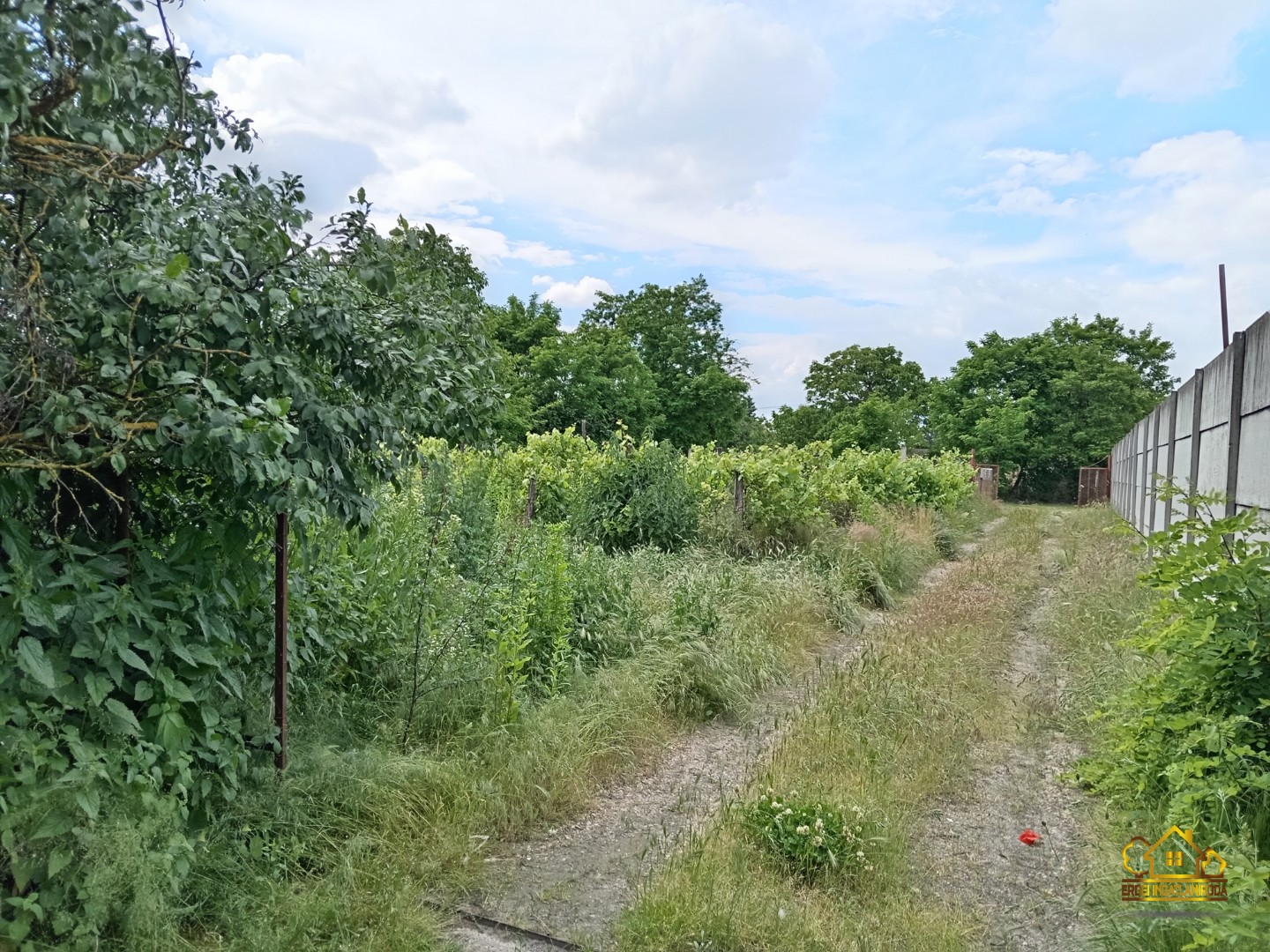 Eladó tanya mezőgazdaság Szigethalomon - Kép 13