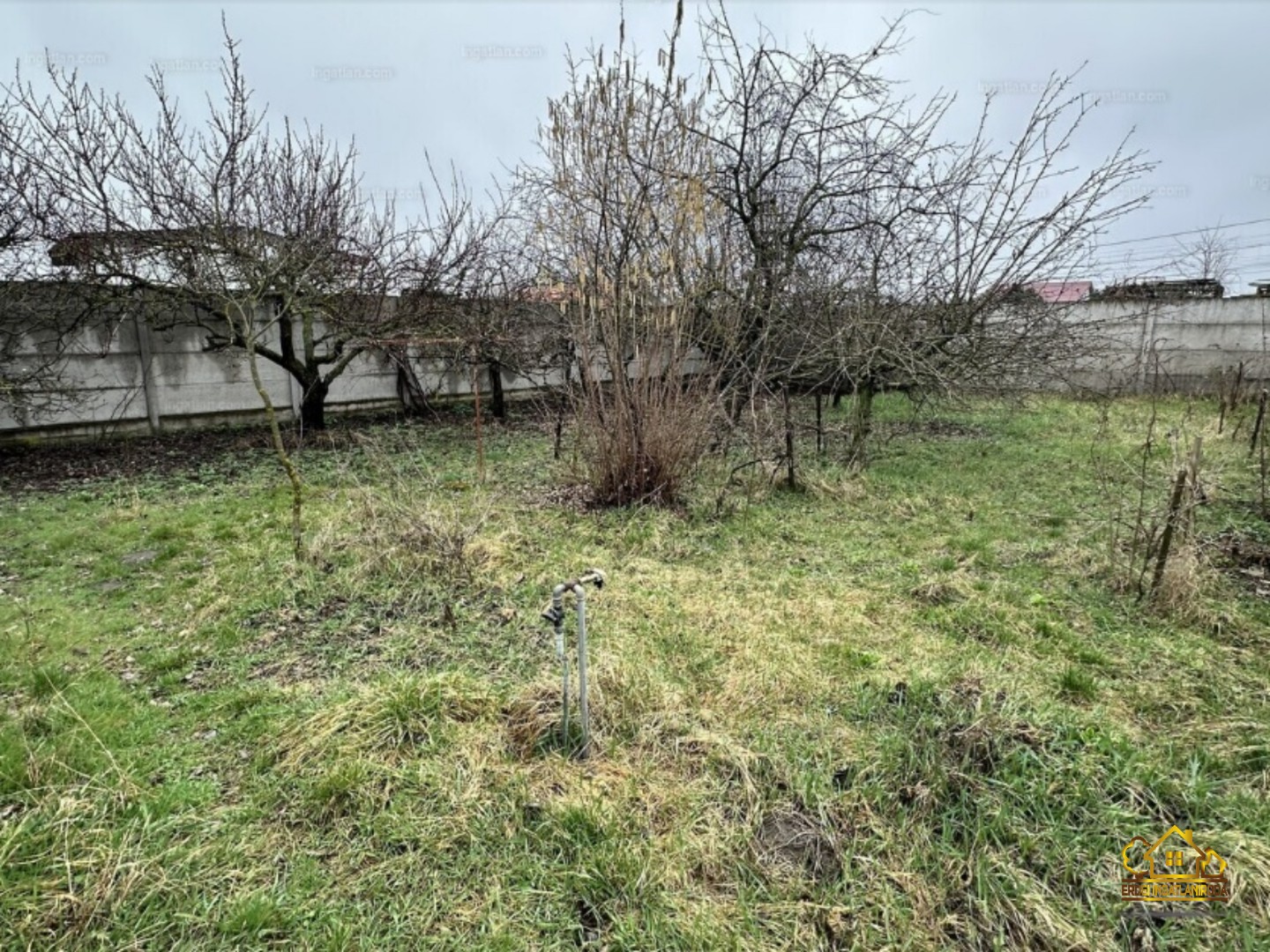 Eladó tanya mezőgazdaság Szigethalomon - Kép 12