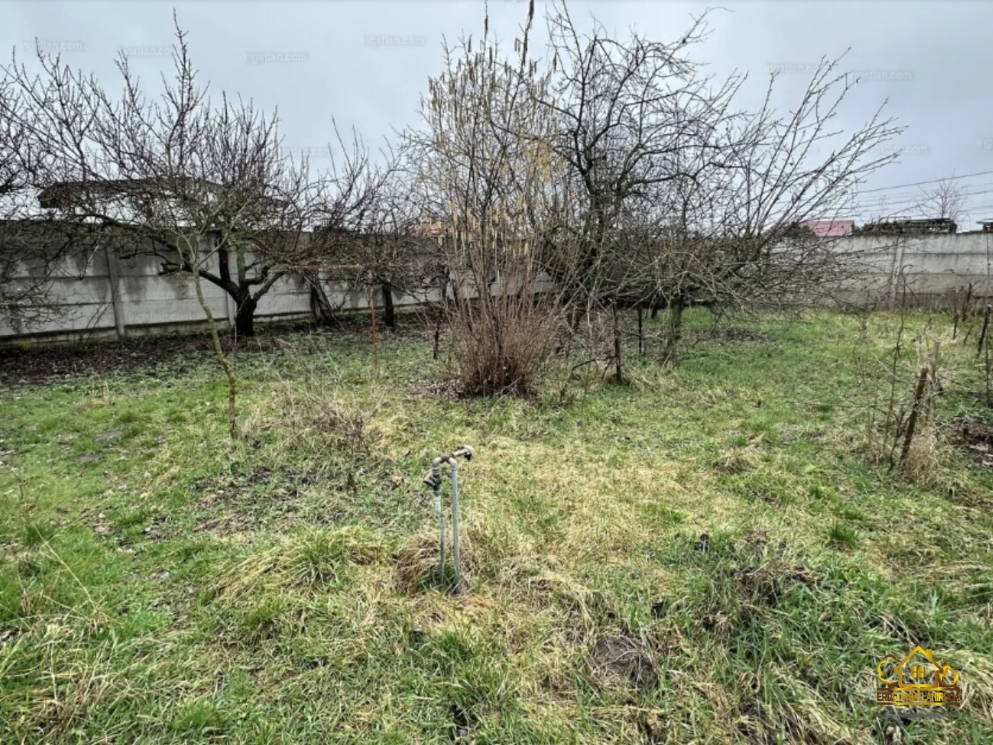 Eladó tanya mezőgazdaság Szigethalomon - Kép 12