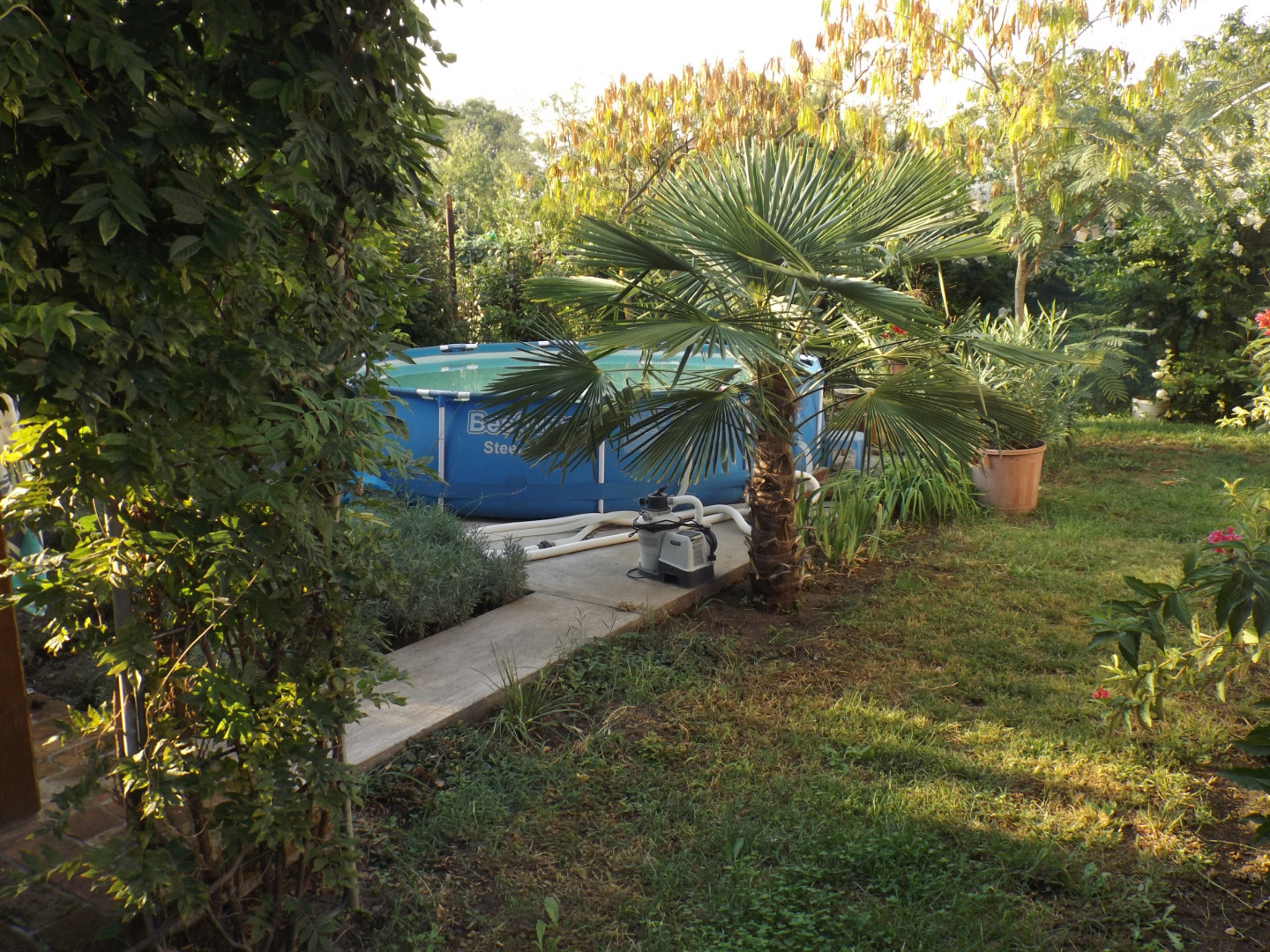 Eladó családi ház Sándorfalvan - Kép 13