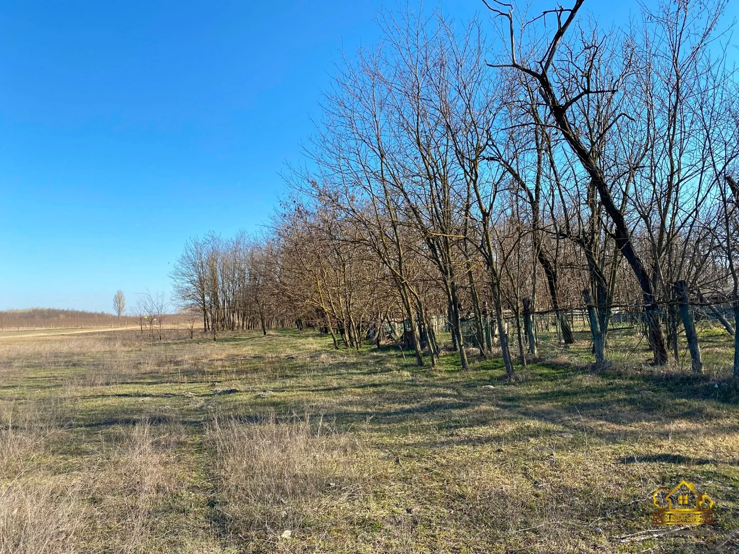 Eladó tanya mezőgazdaság Lajosmizsen - Kép 15