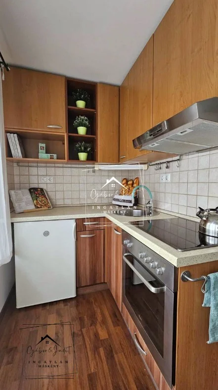 Kiadó tégla lakás Budapest 09. ker.en - Kép 9