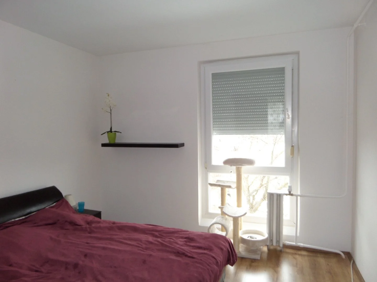 Eladó panel lakás Pécsen - Kép 3