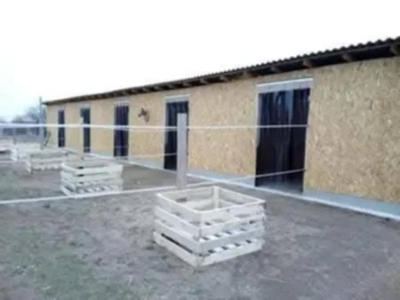 Eladó mezőgazdasági telek Fóton - Kép 8