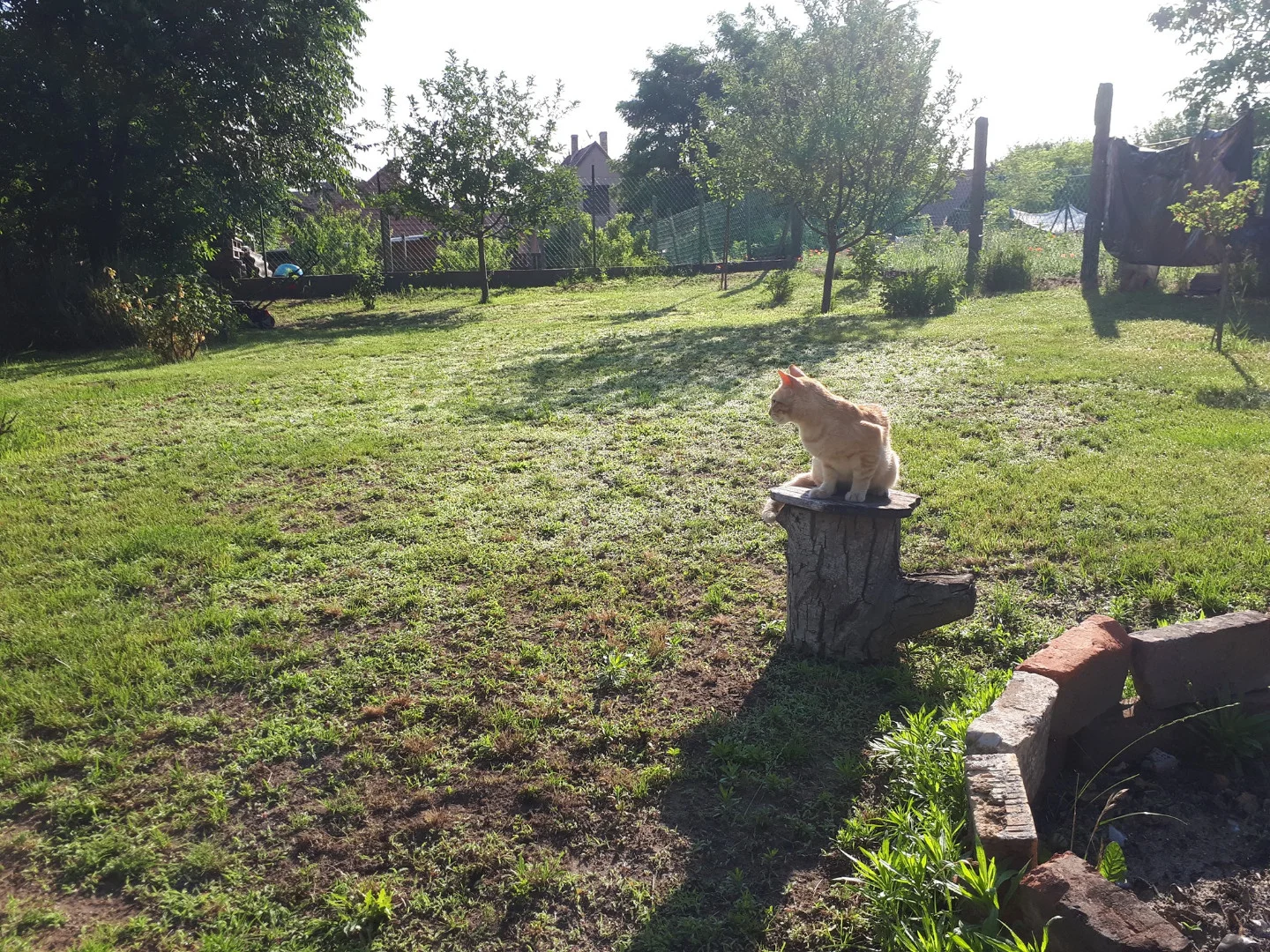 Eladó családi ház Ócsan - Kép 6